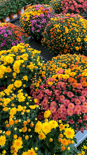 Home Improvement Store «The Home Depot», reviews and photos, 885 W Grassland Drive, American Fork, UT 84003, USA