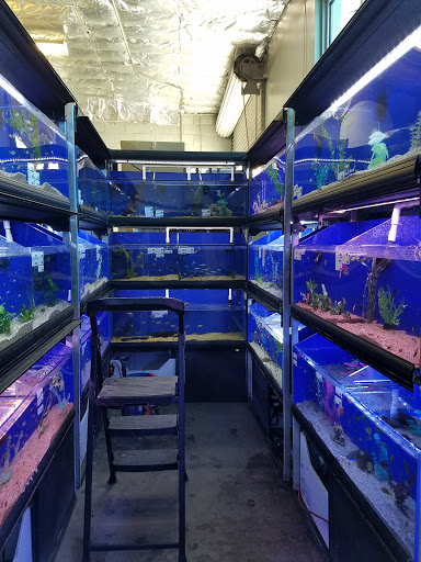 Pet Supply Store «AGE OF AQUARIUMS», reviews and photos, 2642 Cherry Ave, Signal Hill, CA 90755, USA