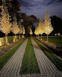 Plano Landscaping Company - Photo 2 - Car repair in Plano, TX, Plano