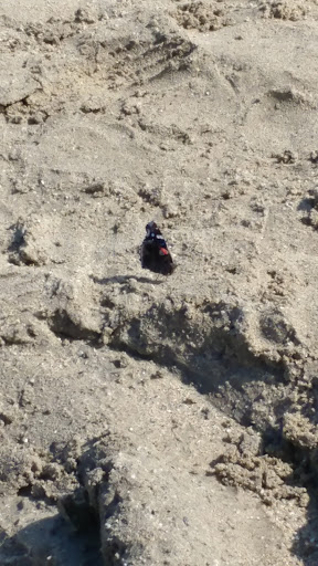 Park «Hopatcong State Park», reviews and photos, 260 Lakeside Blvd, Landing, NJ 07850, USA