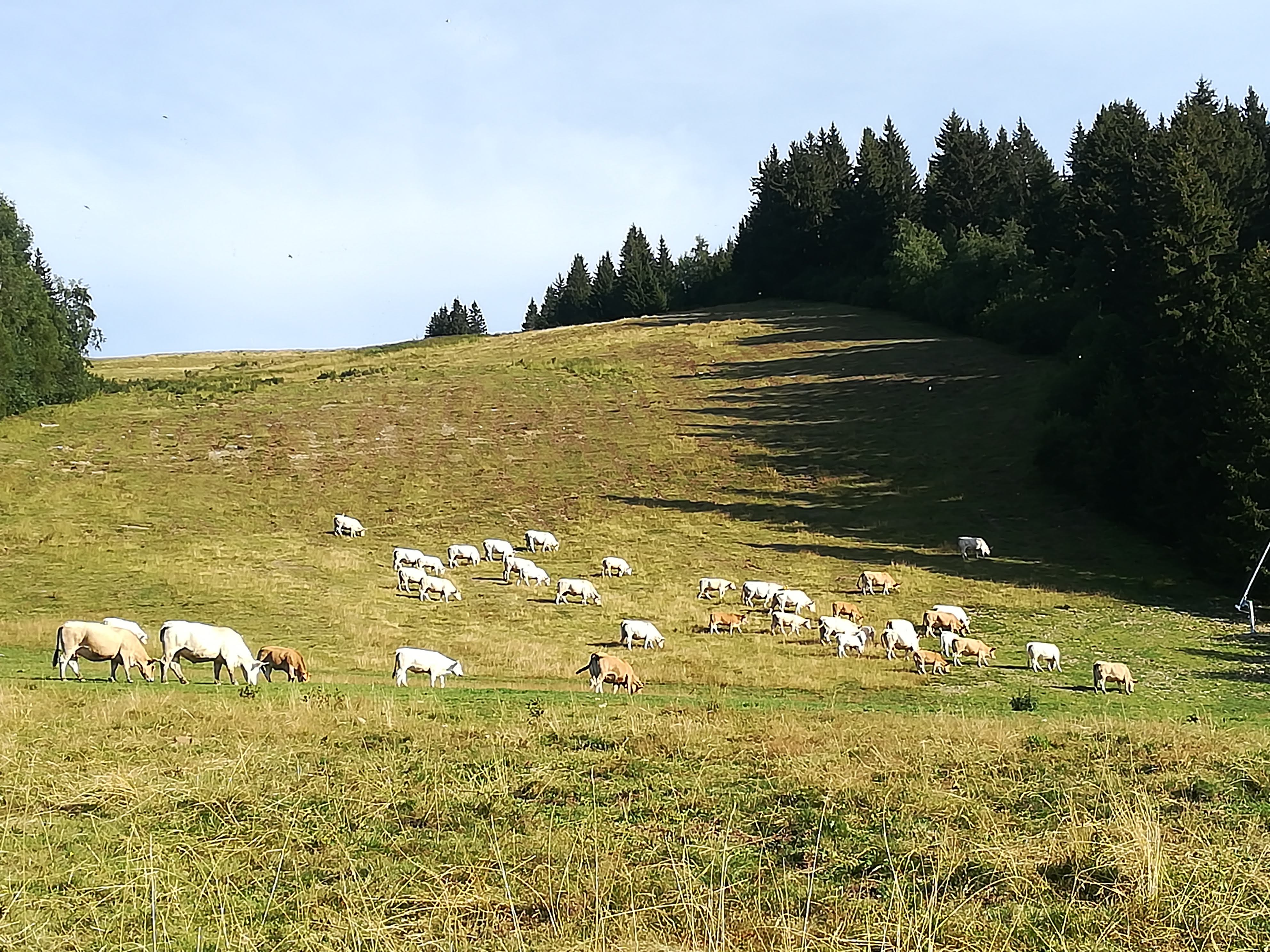 Photo n° 4 de l'avis de Valérie.h fait le 27/08/2019 à 21:35