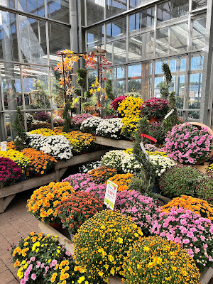 Potiez Jardinerie à Montbéliard