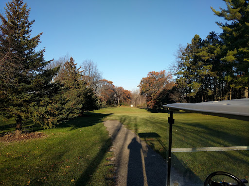Golf Course «Brookwood Golf Course», reviews and photos, 1339 Rynearson St, Buchanan, MI 49107, USA