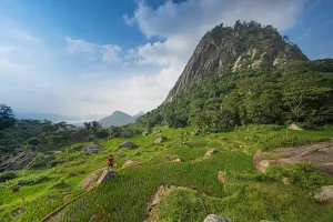 Gunung Parang image