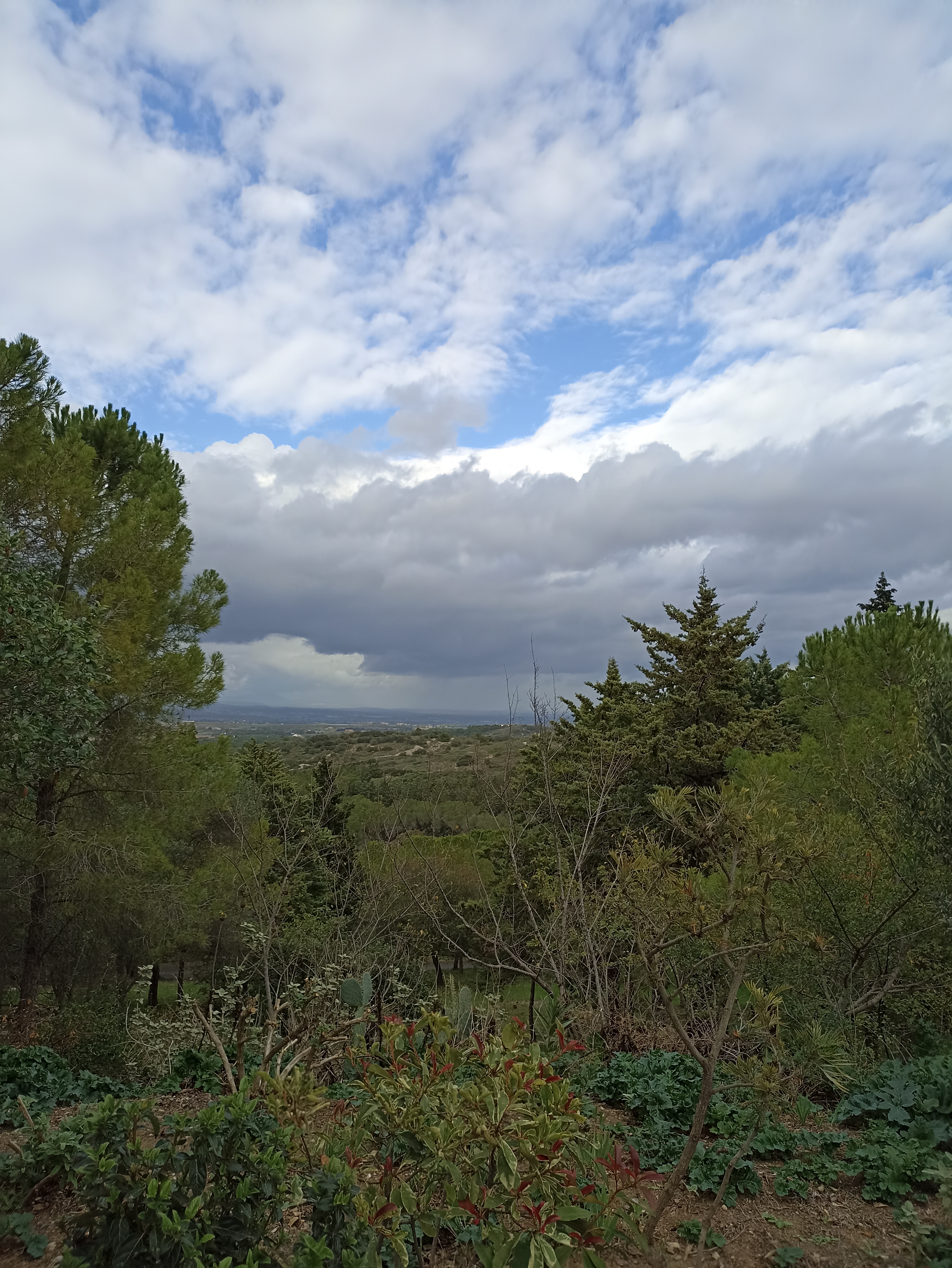 Photo n° 15 de l'avis de Recipes.y fait le 01/11/2023 à 17:08