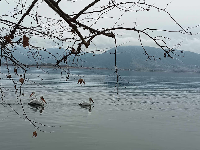 Νομαρχία Καστοριάς, Μεγ. Αλεξάνδρου 25, Καστοριά 521 00
