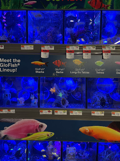 Pet Supply Store «Pet Supplies Plus», reviews and photos, 1268 N Eisenhower Dr, Beckley, WV 25801, USA