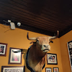 Photo n°8 de l'avis de Nuno.a fait le 24/02/2023 à 21:24 sur le  Restaurante o Toucinho à Almeirim