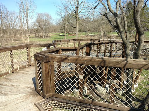 Park «Lippold Park - Fox Valley Park District», reviews and photos, 2001 S River St, Batavia, IL 60510, USA