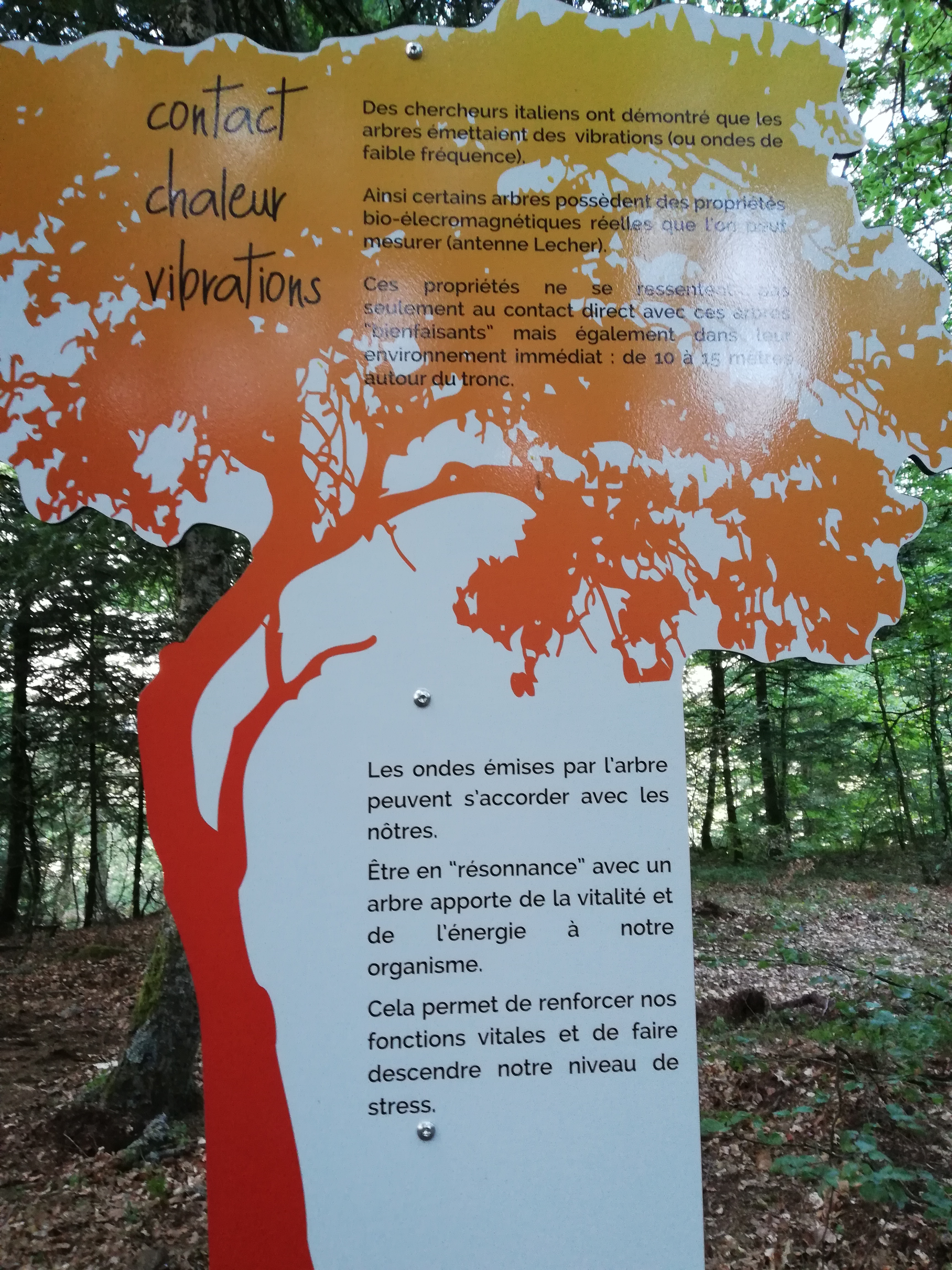 Photo n° 1 de l'avis de Lea.e fait le 29/08/2019 à 21:02