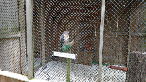 Park «Bays Mountain Park & Planetarium», reviews and photos, 853 Bays Mountain Rd, Kingsport, TN 37660, USA