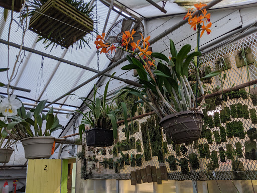 Florist «Little Brook Orchids», reviews and photos, 25 Rider Ave, Lancaster, PA 17603, USA