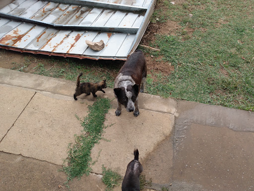 Applebee's Grill + Bar