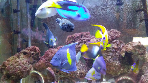 Park «Herrick Park», reviews and photos, Palisade Ave & Herrick Ave, Teaneck, NJ 07666, USA