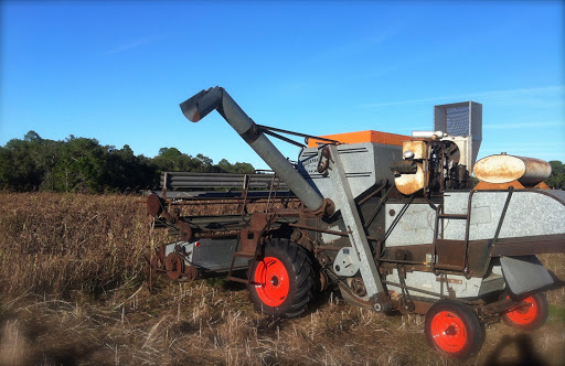 Tourist Attraction «Partin Ranch Corn Maze», reviews and photos, 5601 N Canoe Creek Rd, Kenansville, FL 34739, USA