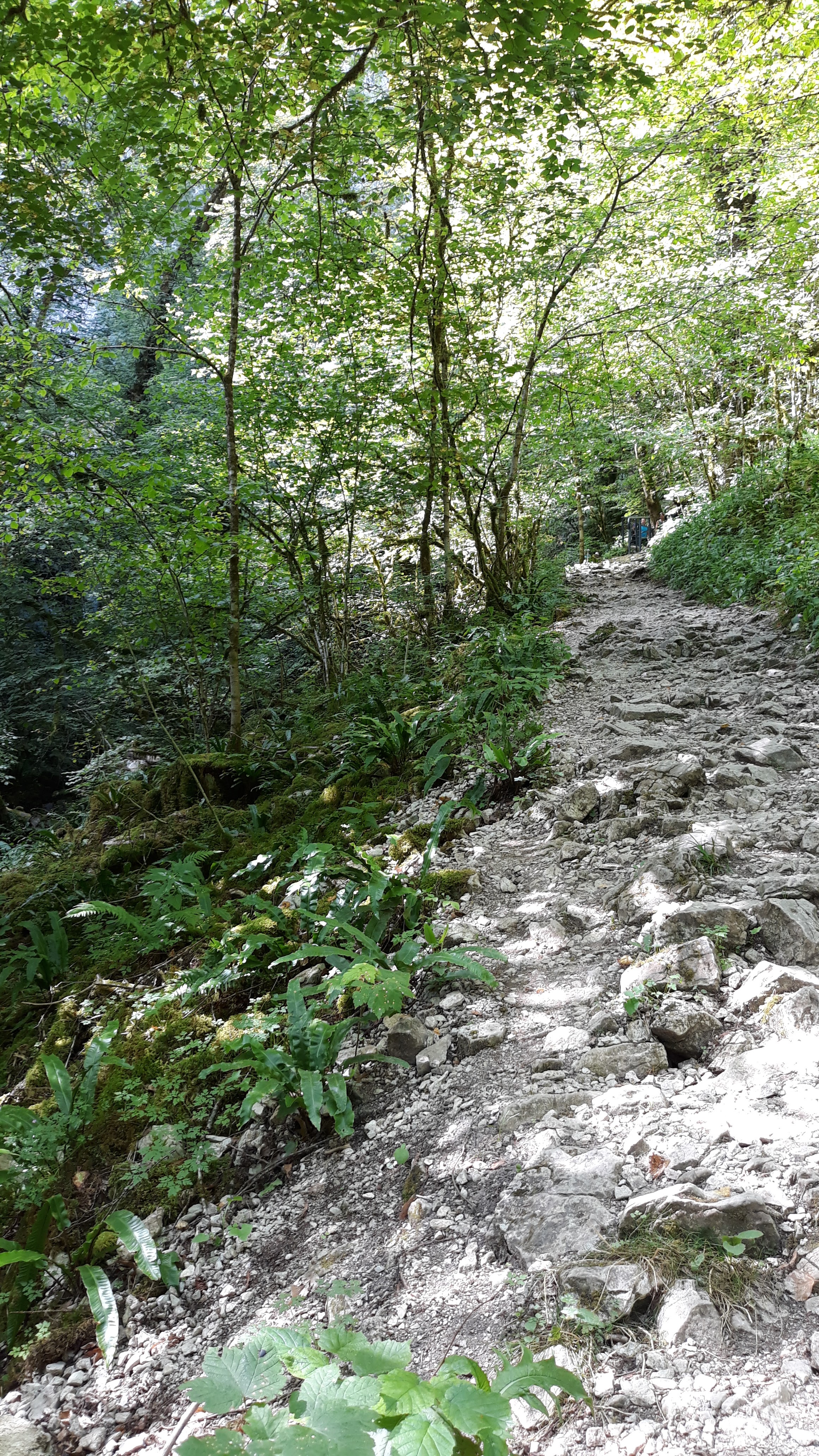 Photo n° 3 de l'avis de Nadine.u fait le 25/07/2020 à 18:02