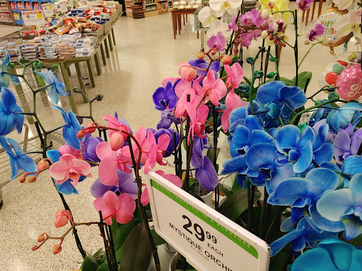 Supermarket «Publix Super Market Plaza Inverness», reviews and photos, 1012 W Main St, Inverness, FL 34450, USA