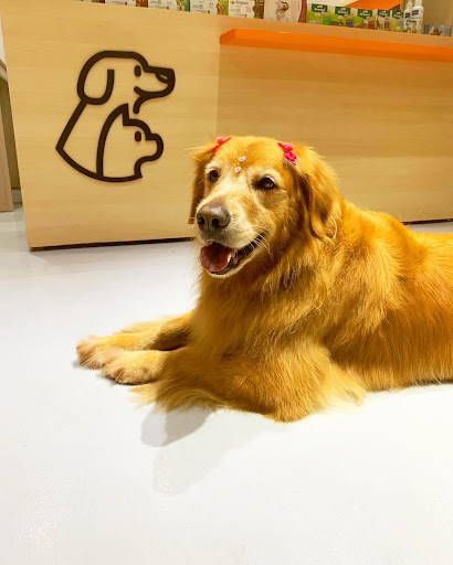 Pet Hardy em São Paulo - SP