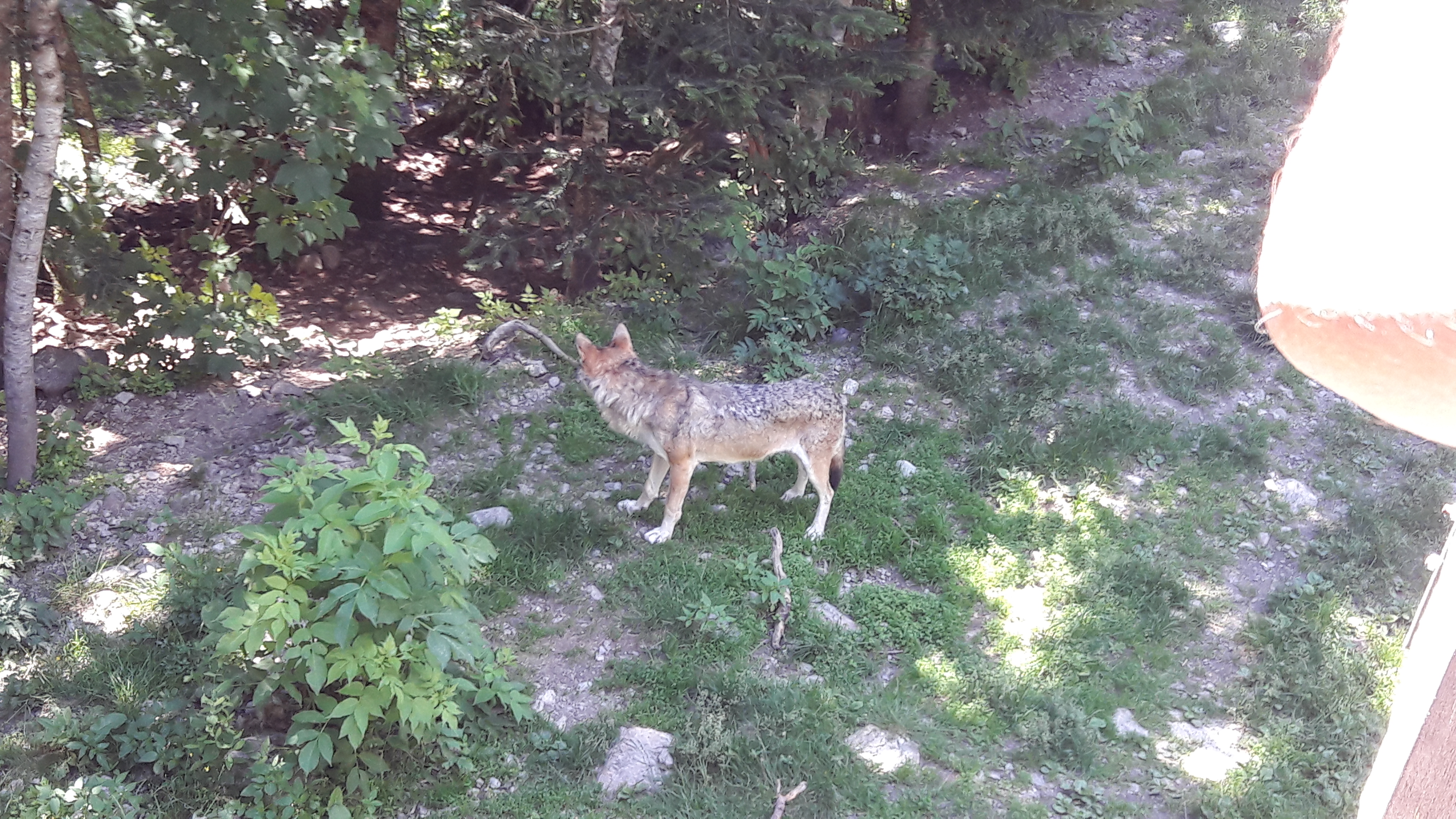 Photo n° 5 de l'avis de Ambre.h fait le 05/03/2017 à 01:43
