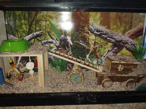 Pet Supply Store «PetSmart», reviews and photos, 1630 13th Ave E, West Fargo, ND 58078, USA