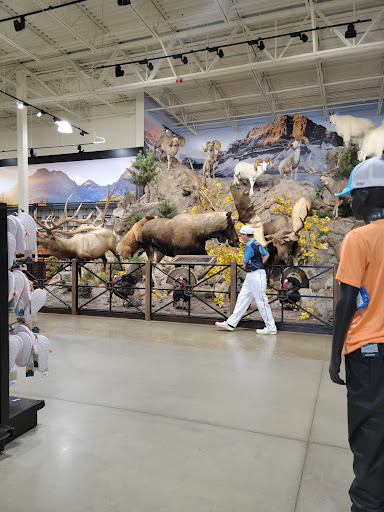 Outdoor Sports Store «Field & Stream», reviews and photos, 2000 N Neil St #2000b, Champaign, IL 61820, USA