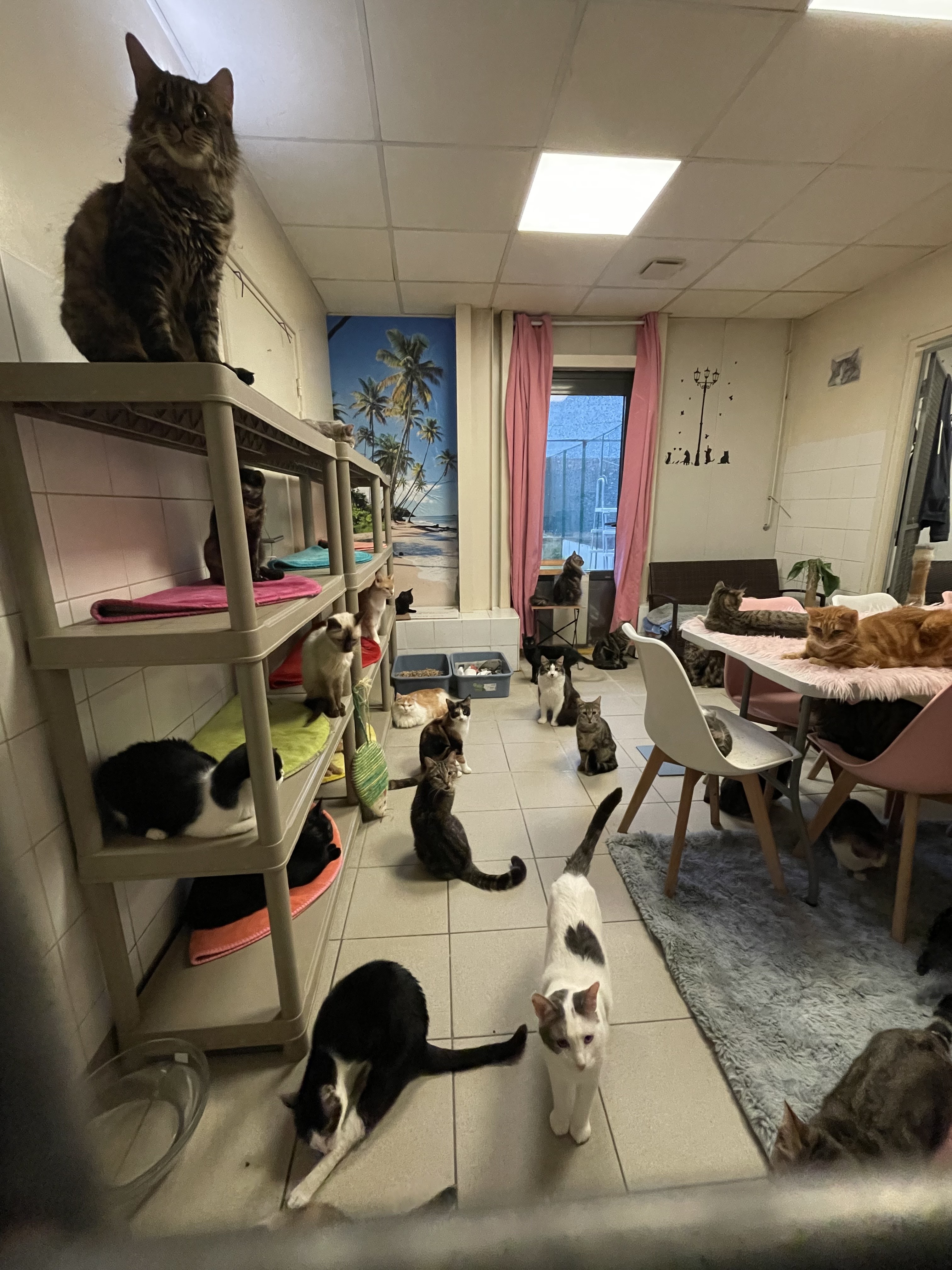 Photo n° 1 de l'avis de Jenie.a fait le 13/02/2024 à 13:44