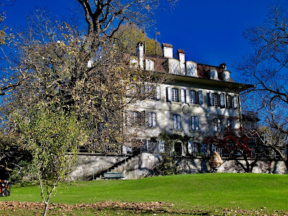 Schloss Muri