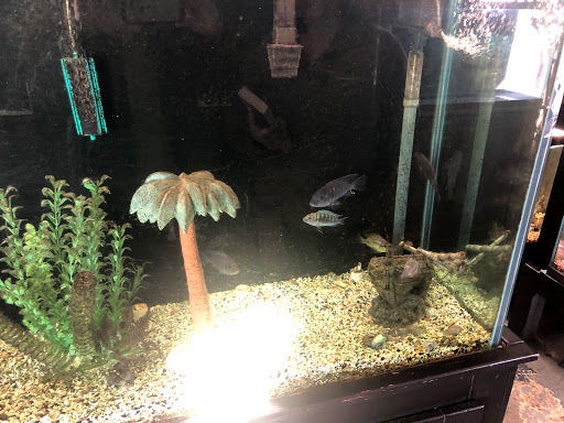 Tropical Fish Store «Tropical Treasures», reviews and photos, 2212 E Platte Ave, Colorado Springs, CO 80909, USA