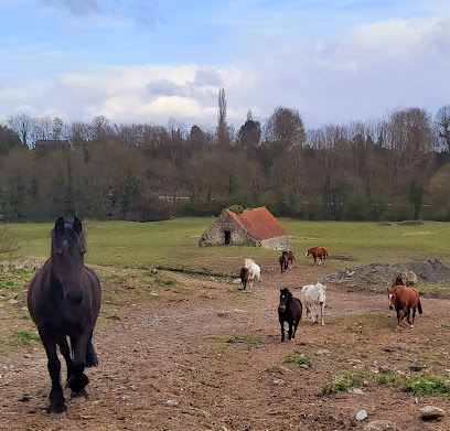 Refuge Natur'Horses