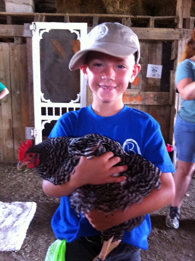 Farm «Benton Family Farm», reviews and photos, 11896 Old Lexington Pike, Walton, KY 41094, USA