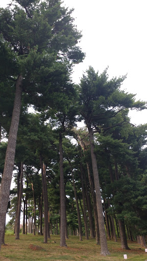 Public Golf Course «Elmwood 18 Hole Golf Course», reviews and photos, 6232 Pacific St, Omaha, NE 68106, USA