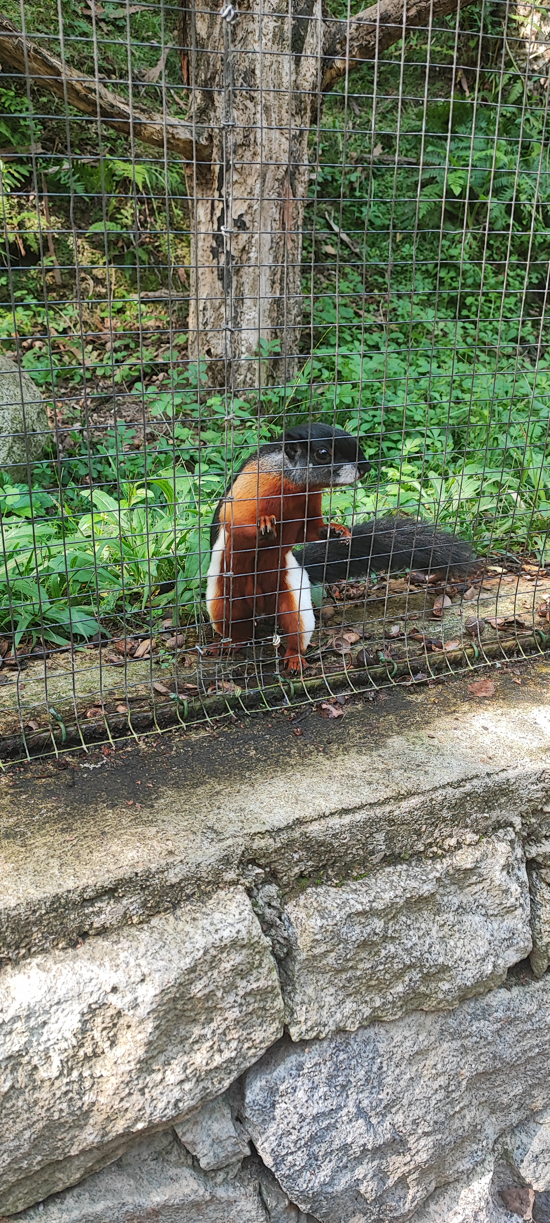 Photo n° 9 de l'avis de Thierry.i fait le 28/09/2023 à 17:40