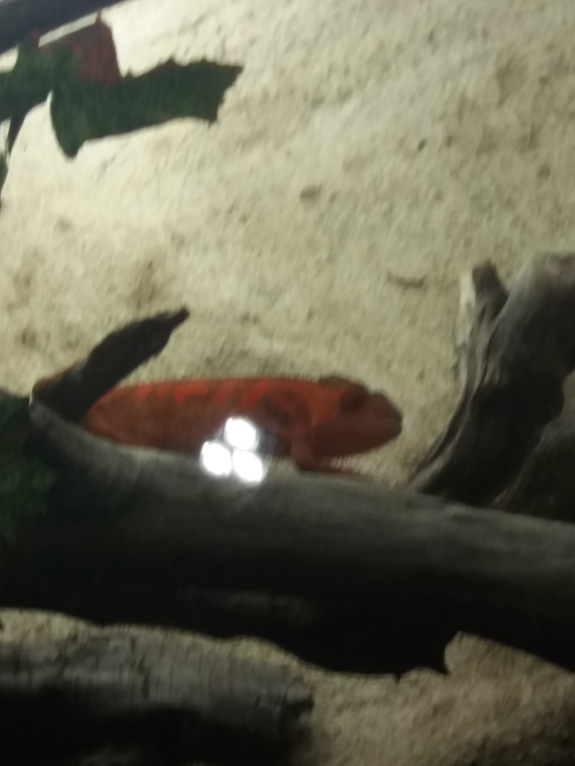 Photo n° 10 de l'avis de Damien.i fait le 21/08/2017 à 19:35