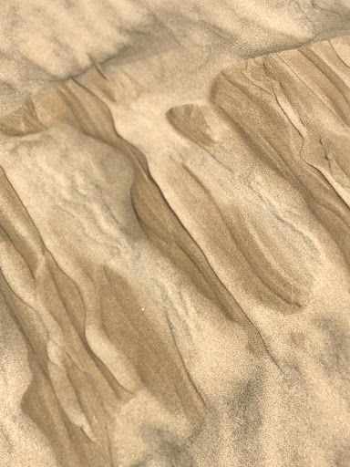 Recreation Center «Sand Master Park - Sandboarding», reviews and photos, 5351 US-101, Florence, OR 97439, USA