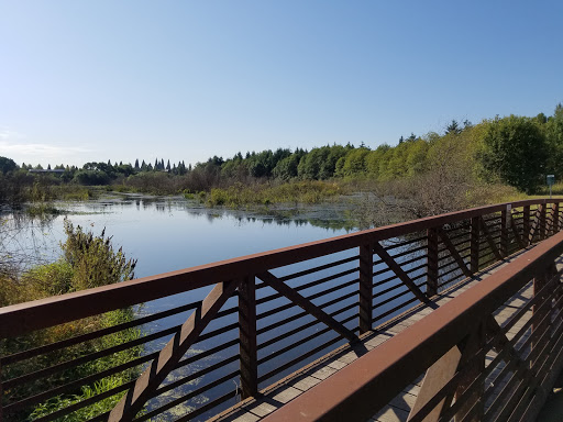 Nature Preserve «Beaverton Creek Wetlands Natural Area», reviews and photos, SW 153rd Dr, Beaverton, OR 97006, USA