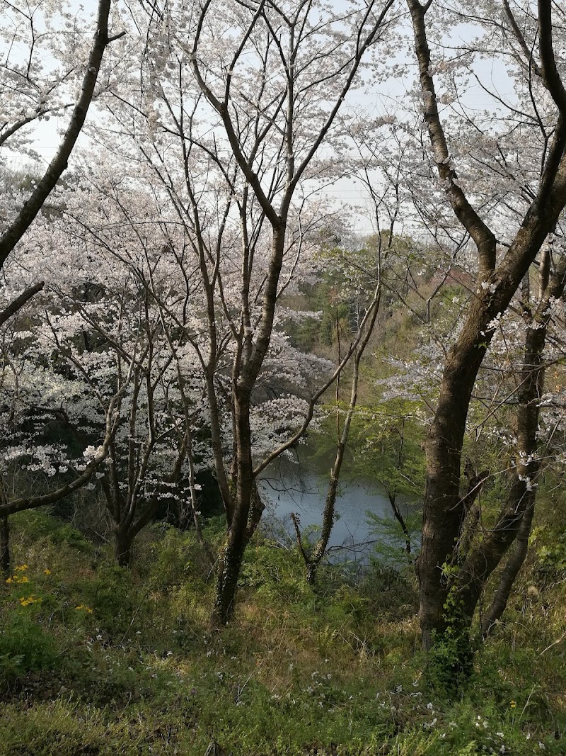 大宝西公園