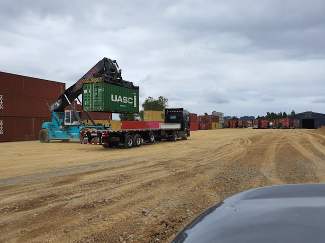 Opinii despre Transportes tierra de Chile în Talcahuano - Servicio de transporte