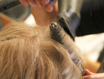 Espace Coiffure à Charleval