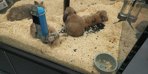 Animal Feed Store «Franklin Hardware & Pet Center», reviews and photos, 1975 Philadelphia Ave, Chambersburg, PA 17201, USA