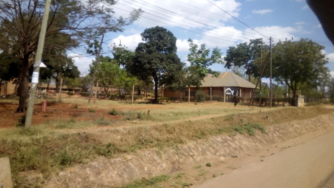 Msamvu A Primary School