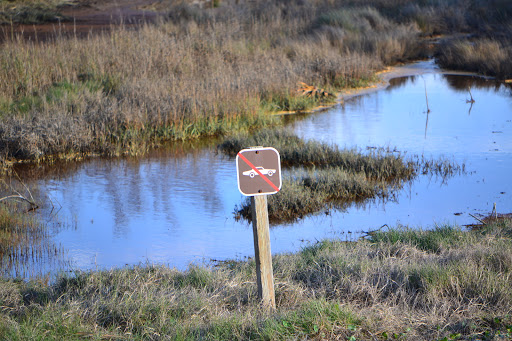 Monument «Fort Pulaski National Monument», reviews and photos, US-80, Savannah, GA 31410, USA
