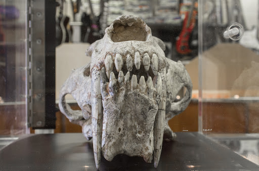 Pawn Shop «Silver Dollar Pawn Inc», reviews and photos, 5607 FL-54, New Port Richey, FL 34652, USA