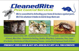 CleanedRite Pest Control Services