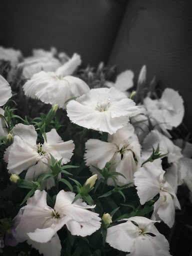 Home Improvement Store «The Home Depot», reviews and photos, 11071 W National Ave, West Allis, WI 53227, USA