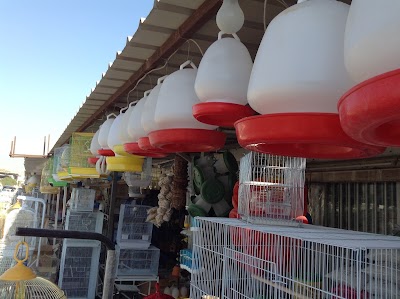 Photos of محلات الطيور وأسماك الزينه ولوازمها birds and fish accessories
