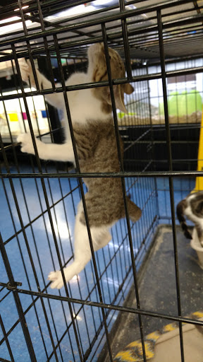 Pet Supply Store «Pet Supplies Plus», reviews and photos, 191 Alps Rd Suite 15, Athens, GA 30606, USA