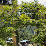 Photo n°2 de l'avis de Laura.a fait le 11/08/2021 à 08:39 sur le  Hotel Bar Ristorante Montallegro à Rapallo