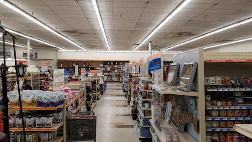 Discount Store «Big Lots», reviews and photos, 13970 N Cleveland Ave, Fort Myers, FL 33903, USA