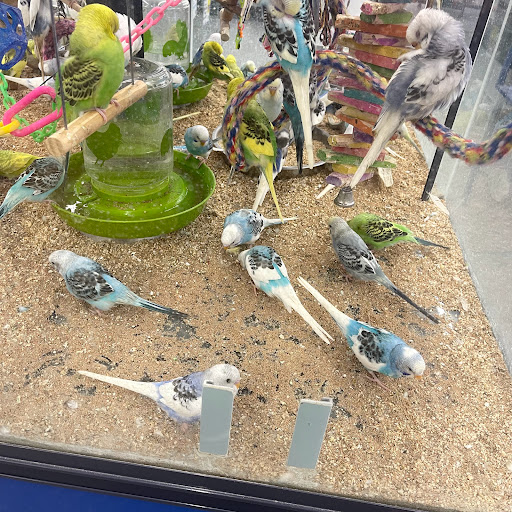 Pet Store «B & B Pet Stop, Inc.», reviews and photos, 5035 Cottage Hill Rd, Mobile, AL 36609, USA