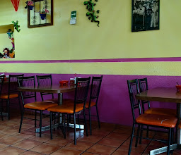 Taquería Maria photo